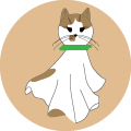 Gato